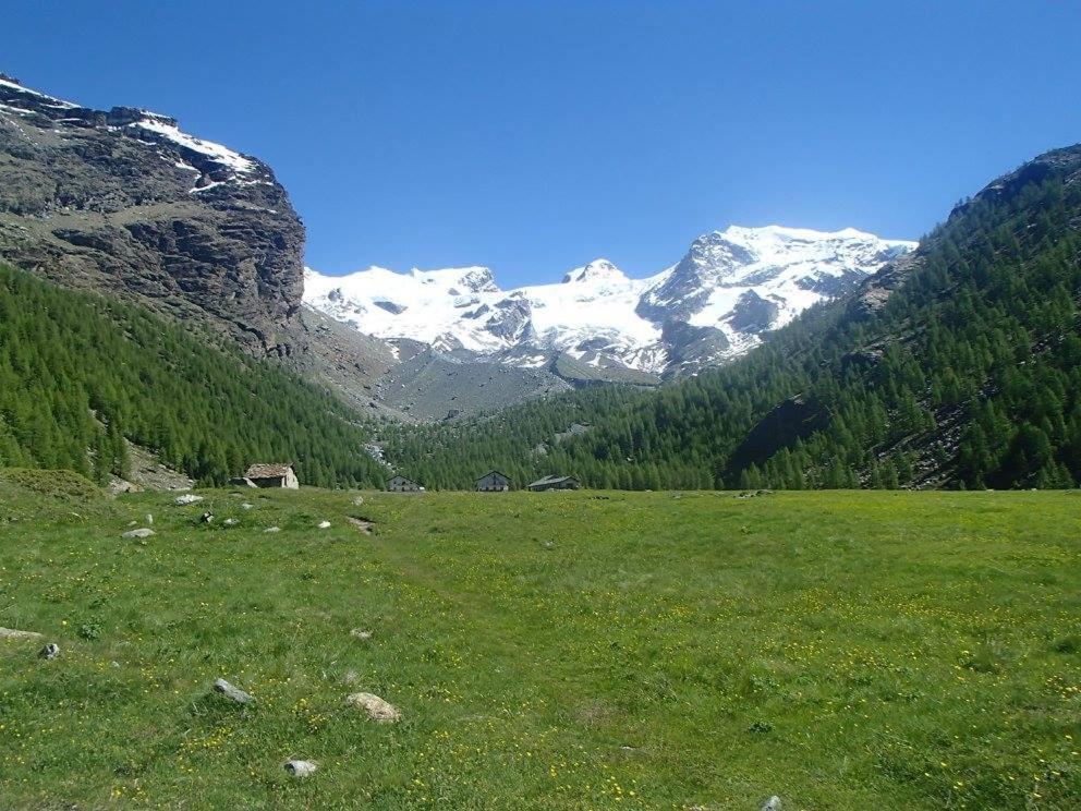 Residence Les Coupoles Champoluc Kültér fotó